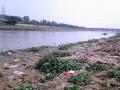 Hindon river