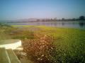 Narmada river
