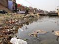 Polluted Ganga