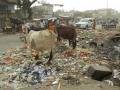 Poly waste