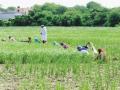 भारत में कृषि क्षेत्र में सार्वजनिक निजी भागीदारी