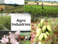 भारत में कृषि-आधारित उद्योगों का अवलोकन