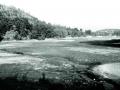 bhimtal lake