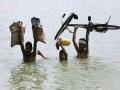 bihar flood