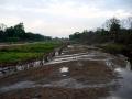 dry river of satpura