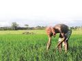 किसानों की आय बढ़ाने में सहायक कृषि उद्योग