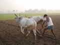 भारत के सन्दर्भ में खेती की बेहतरीन तकनीकें