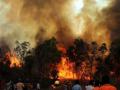 fire in Uttarakhand mountain forests