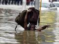 भारत में बाढ़ से तबाही