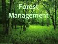 career in forest management forest department