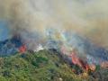 जंगल में आग का एक दृश्य (फोटोः विकिमीडिया)