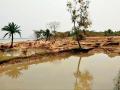 Ghodamara Island is also slowly absorbed into the water.