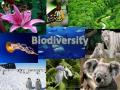 विश्व जैव विविधता दिवसः बिन पानी कैसे बचाएंगे जैव विविधता