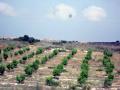 इजराइल में गंदे पानी को साफ करके सिंचाई हो रहा है