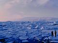 जलवायु परिवर्तन से गर्म हो रहा आइसलैंड का पानी, दूर जा रही मछलियां