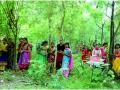 राजस्थान स्थित राजसमंद जिले का पिपलांत्री गांव में बेटी पैदा होने पर लगाते हैं 111 पौधे।