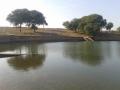 राजस्थान का परंपरागत तालाब; फोटो - विकिमीडिया, Rakesh.5suthar
