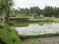 हरियाणा में भू जल संरक्षित करने की योजना से जुड़ रहे है किसान
