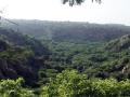 प्राकृतिक वन क्षेत्र का विकासः तेलंगाना में यदाद्री का अध्ययन