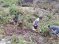 विश्व पर्यावरण दिवस 2020: उत्तराखंड में गांव के जल स्रोतों के संरक्षण में जुटे पोखरी के युवा