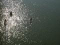 Ganga river in Uttarakhand (Source: IWP Flickr album)