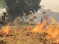 Burning of rice residues in south east Punjab, prior to the wheat season(Image: CIAT/NeilPalmer via Flickr Commons)