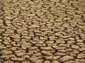 Parched area near Jodhpur (Source: India Water Portal Flickr Photos)