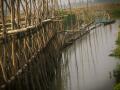 Deepor Beel in Assam (Source: IWP Flickr photos)