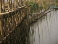 Deepor Beel, a wetland in Assam (Source: IWP Flickr photos)