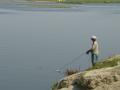 Banks of the Ramganga river (Source: IWP Flickr photos)