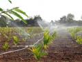 Sprinklers cover 2.86 percent of total irrigation land in India