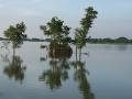 Unsettling flood waters of Muzaffarpur, Bihar