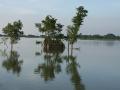 Floodwaters unsettle Muzaffarpur. (Source: IWP FLickr photos)