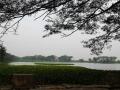 The Manapet tank in Bahour has an ayacut of around 110 acres, most of which is now urbanised (Image: Seetha Gopalakrishnan, IWP)