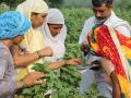 Women farmers studying insects during a class (Source: Keet Saksharta Mission)