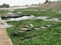 Kharun river at Mahadev Ghat, Raipur.