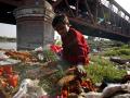 Garbage at the ghat of Yamuna river in Delhi. (Source: IWP Flickr photos)