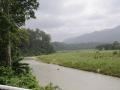 Mangpong forest in West Bengal