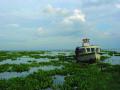 Vembanad lake in Kerala (Source: ATREE via IWP Flickr photos)