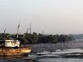 A wetland in Mumbai (Source: IWP Flickr photos)