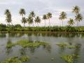 A lake in Kerala (Source: IWP Flickr Photos)