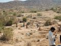 Labourers building check dams under MGNREGS (Source: IWP Flickr Photos)