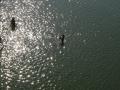 Ganga river at Kachla, Uttar Pradesh. (Source: IWP Flickr Photos)