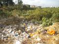 Garbage fills Sarakki Lake