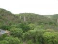 A view of the Nallamala Forests (Source: Wikimedia Commons)