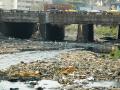 Mumbai's Oshiwara river severely polluted with waste (Source: Wikipedia)