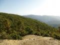 Ufrenkhal forest that gives water to Gad Ganga