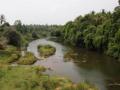 The Kabini as it flows through Wayanad (Source: Seetha Gopalakrishnan, IWP)