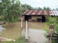 Odisha reels under floods