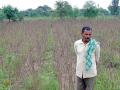 A devastated farmer in Maharashtra (Image source: IWP Flickr photos)